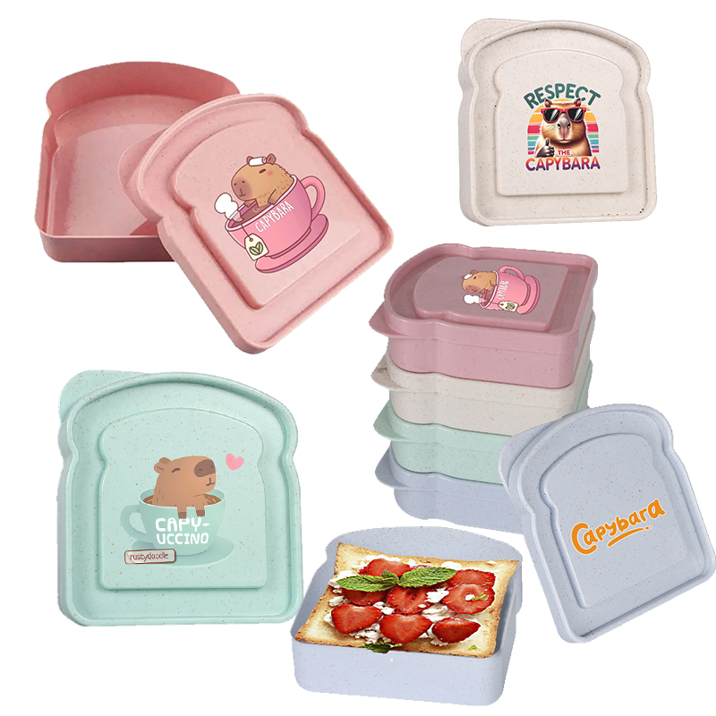 Salad Container Jar - Capybara Sandwich Food Storage Case Container