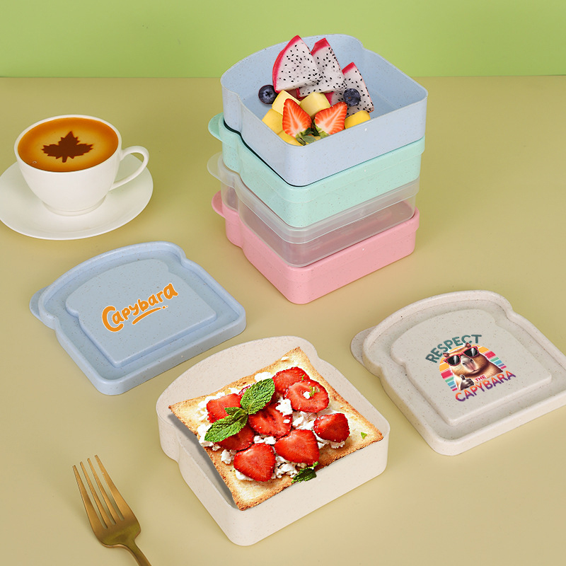 Capybara Sandwich Food Storage - Salad Container Jar review and price