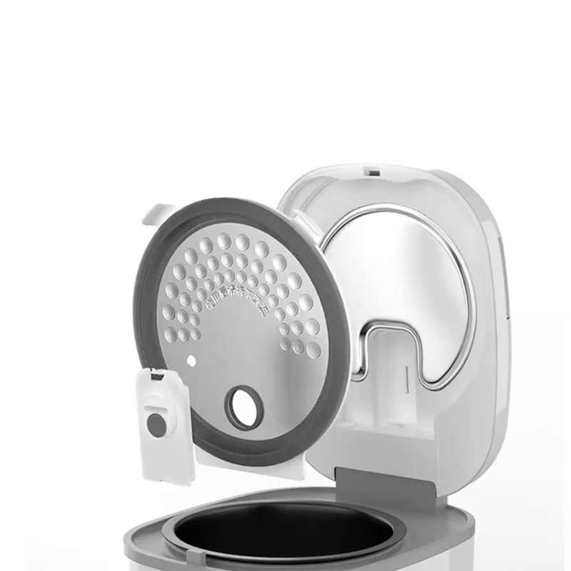 2L Digital Rice Cooker Mini El - Meal Prep Healthy review and price