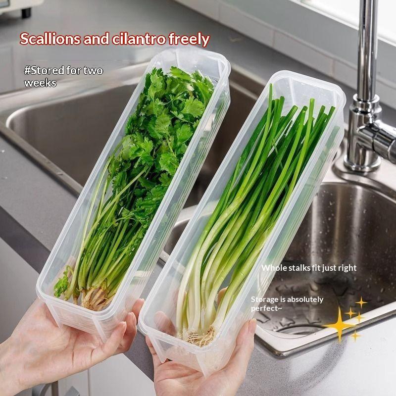 Rectangular Plastic Food Stora - Meal Prep Noodles review and price