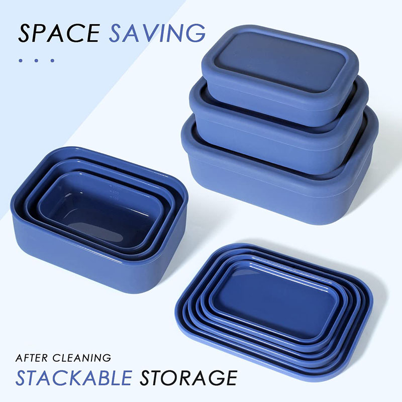 Leak-Resistant Bento Lunch Box - Meal Prep Lunch review and price