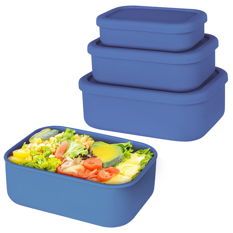 Leak-Resistant Bento Lunch Box - Meal Prep Lunch review and price