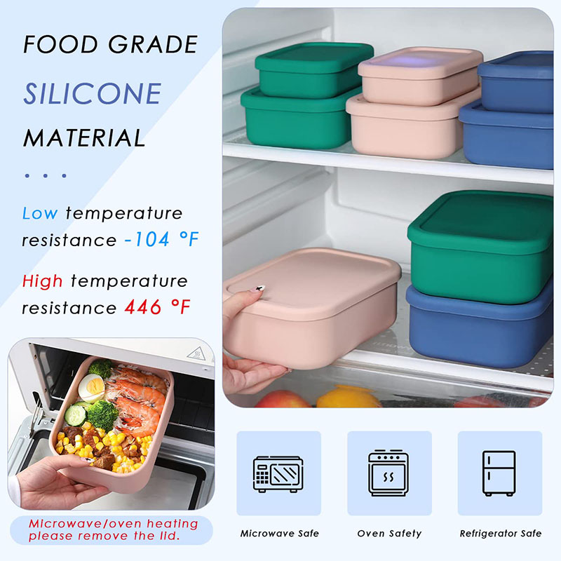 Leak-Resistant Bento Lunch Box - Meal Prep Lunch review and price