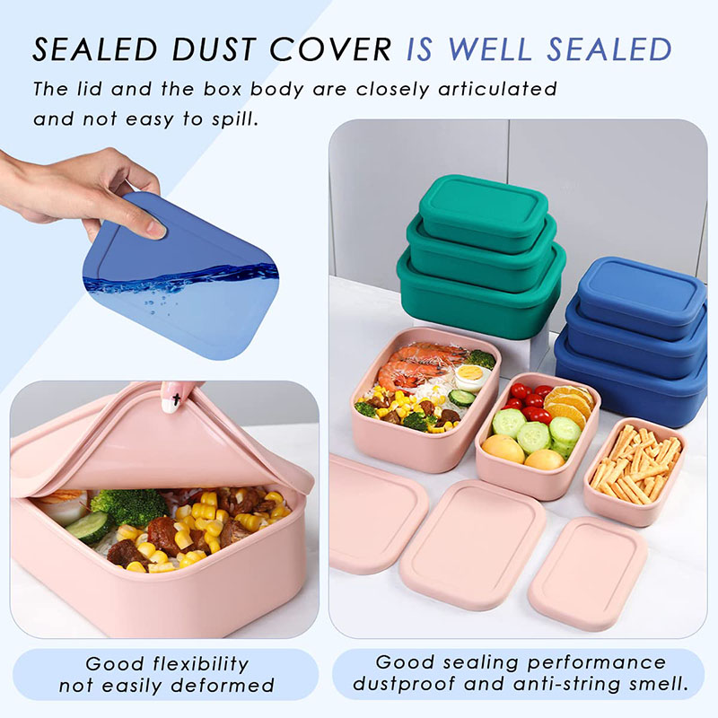 Leak-Resistant Bento Lunch Box - Meal Prep Lunch review and price